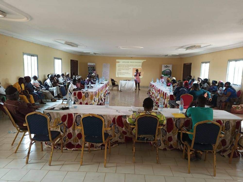 Développement apicole